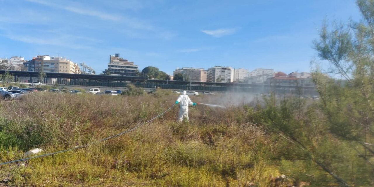 La Diputación de Huelva logra con la máxima calificación en el control de la Fiebre del Nilo Occidental