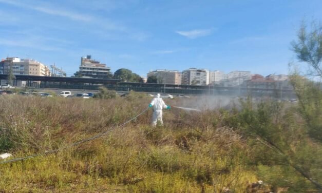 La Diputación de Huelva logra con la máxima calificación en el control de la Fiebre del Nilo Occidental