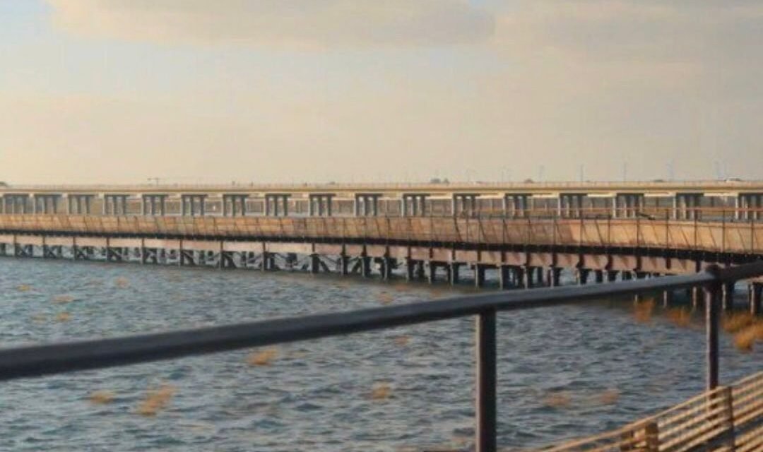 El renacer del Muelle de Tharsis: cuando la ingeniería devuelve la vida a la historia de Huelva