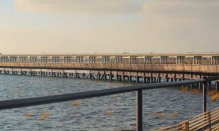 El renacer del Muelle de Tharsis: cuando la ingeniería devuelve la vida a la historia de Huelva