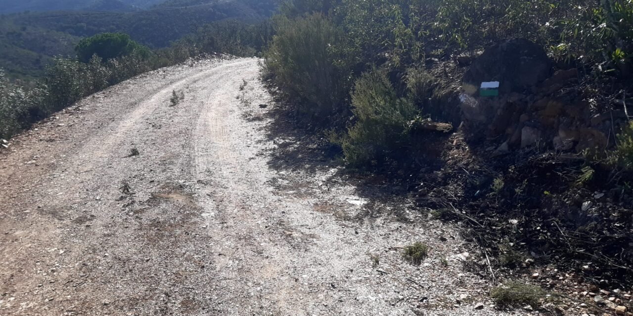 Berrocal mejora sus senderos con 400 nuevos árboles de gran porte