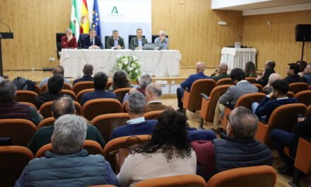 La Junta ayudará a la reparación de los caminos rurales afectados por las borrascas