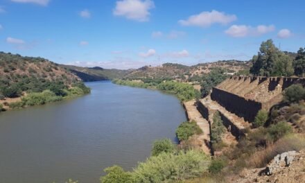Hallan el cuerpo sin vida de una mujer en el puerto deportivo de La Laja