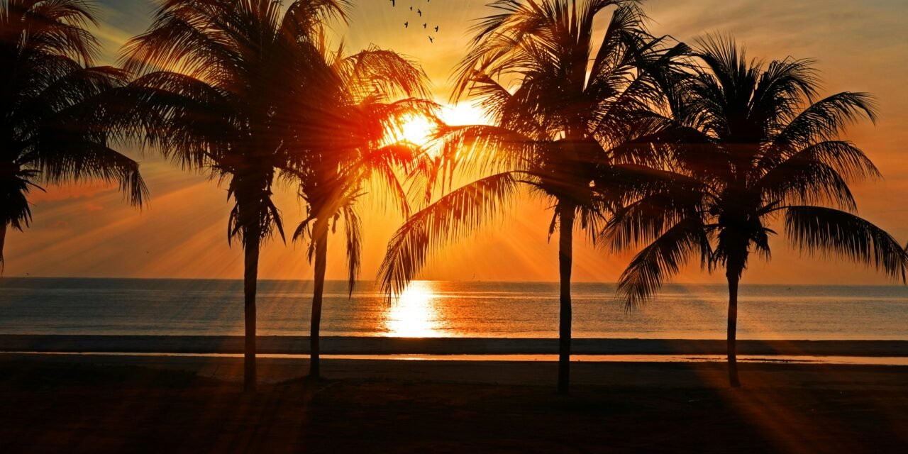 ¿Quién gestiona mi vida?