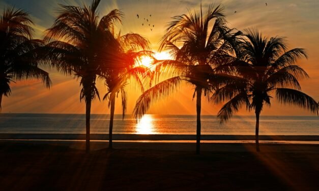 ¿Quién gestiona mi vida?