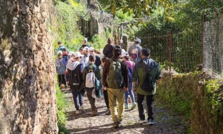 Alumnos de El Campillo y Berrocal van a la ‘Geoescuela’