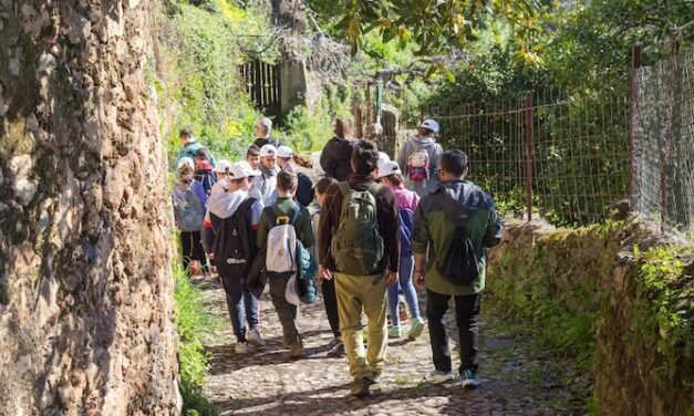 Alumnos de El Campillo y Berrocal van a la ‘Geoescuela’