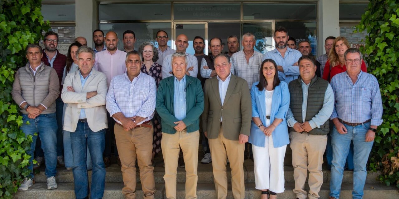 La Diputación impulsa la creación de la IGP ‘Aceites de Huelva’