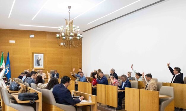 Aprobadas las bases de ‘Tu Diputación Actúa’ para paliar los daños de los temporales