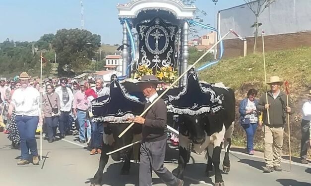 Tráfico altera el camino de la romería de El Campillo