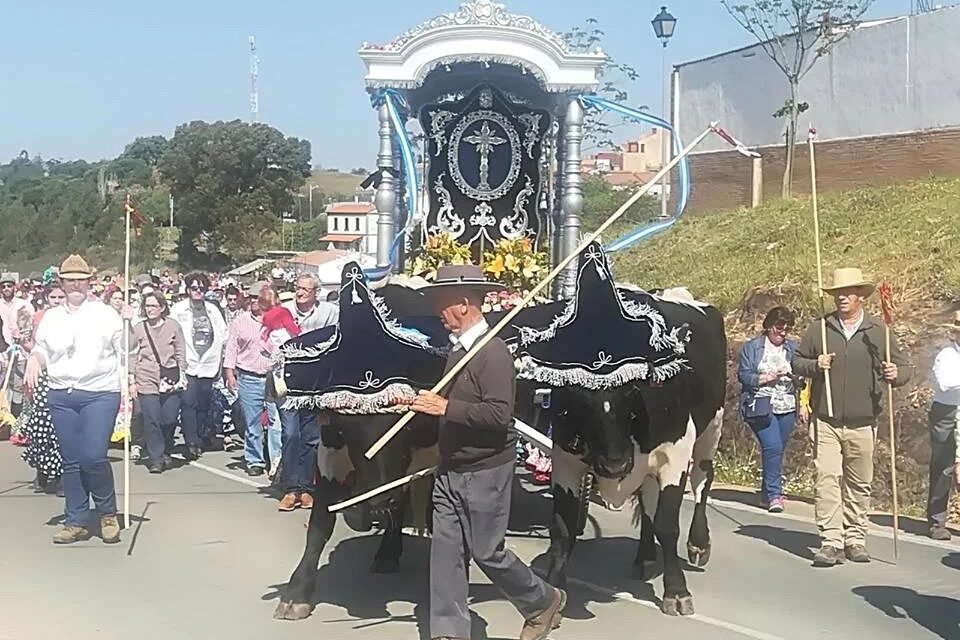 Tráfico altera el camino de la romería de El Campillo