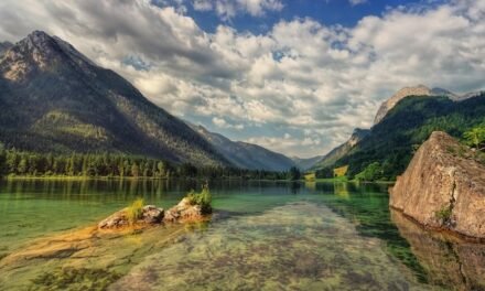 Opinión: Dame paciencia…