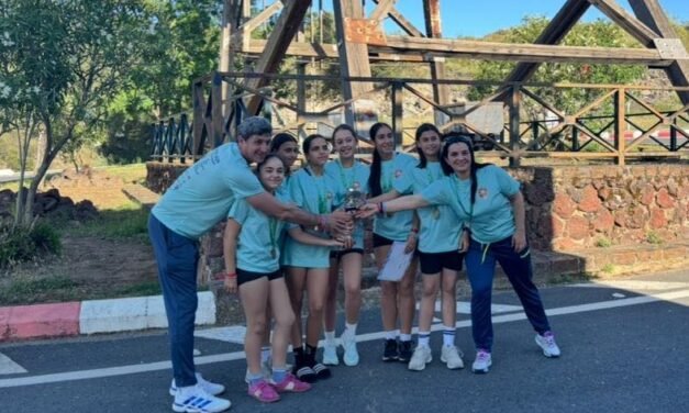Los alevines de Nerva se proclaman subcampeones de Andalucía de balonmano