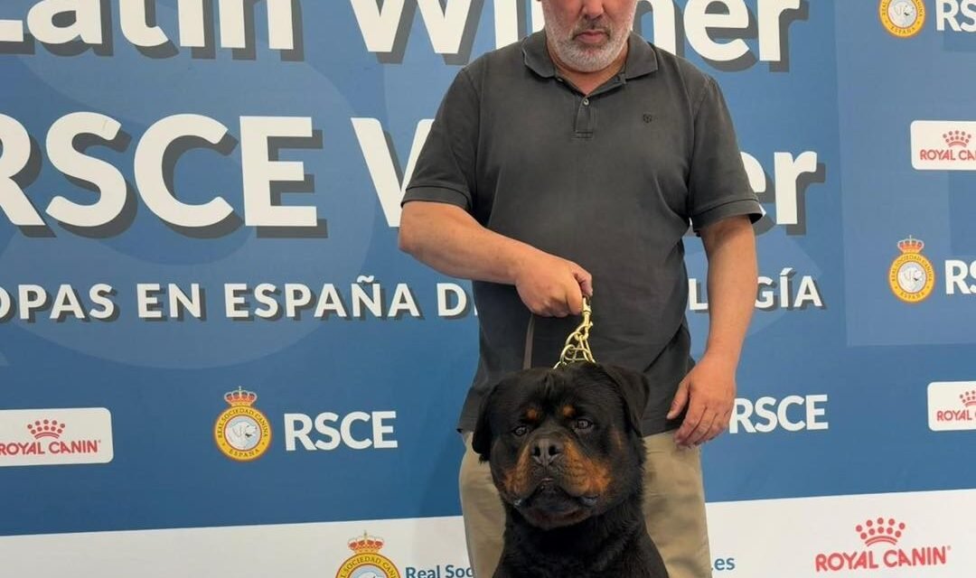 El nervense Francisco Miguel Cornejo logra el Campeonato de España de Belleza con su perro Filou