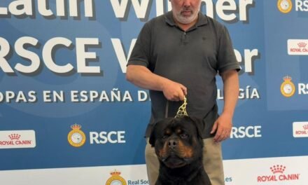 El nervense Francisco Miguel Cornejo logra el Campeonato de España de Belleza con su perro Filou