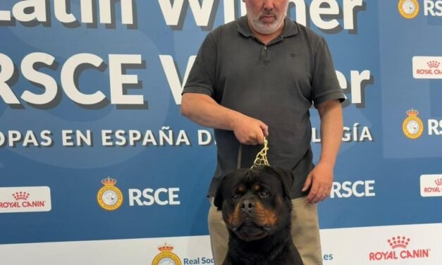 El nervense Francisco Miguel Cornejo logra el Campeonato de España de Belleza con su perro Filou
