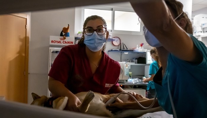 El Plan HEBE abrirá una primera oportunidad para 105 jóvenes onubenses