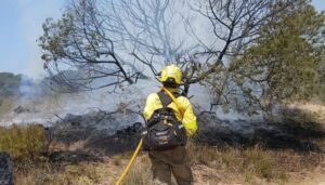 Incendio en Doñana