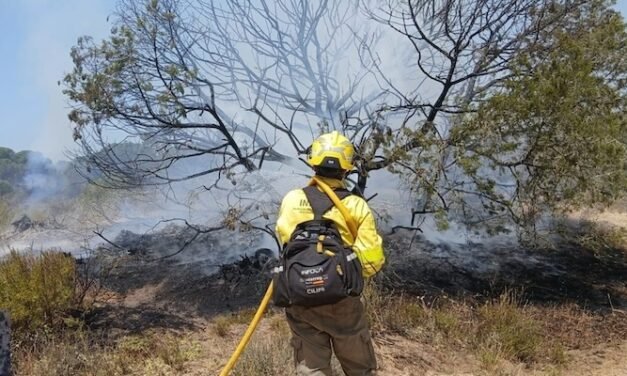 Aumentan los efectivos terrestres y aeronaves para la lucha contra el fuego en Doñana