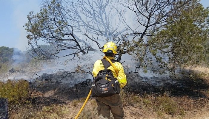 Aumentan a 130 efectivos terrestres y 10 aeronaves la lucha contra el fuego en Doñana