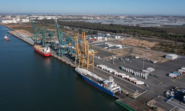 El Puerto de Huelva comenzará en breve la pavimentación de la zona norte del Muelle Sur