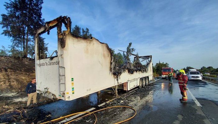 Mueren siete caballos en el incendio de un remolque en Almonte