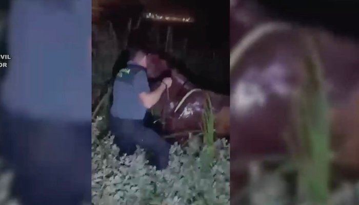 Rescatan a un jinete atrapado bajo su caballo en un lodazal en El Rocío