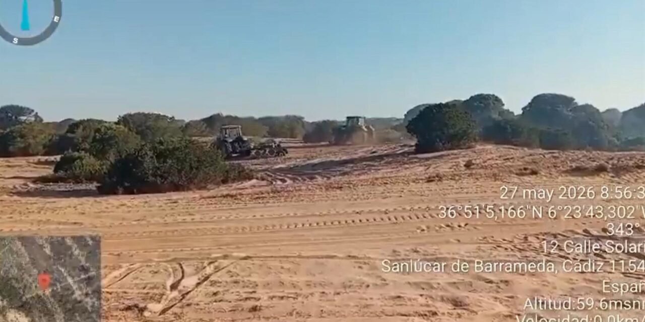 Cien bomberos forestales trabajan en Doñana tras la estabilización del incendio