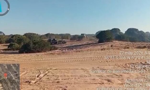 Cien bomberos forestales trabajan en Doñana tras la estabilización del incendio