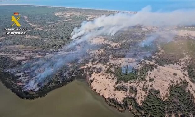 El incendio de Doñana arrasa ya más de 250 hectáreas