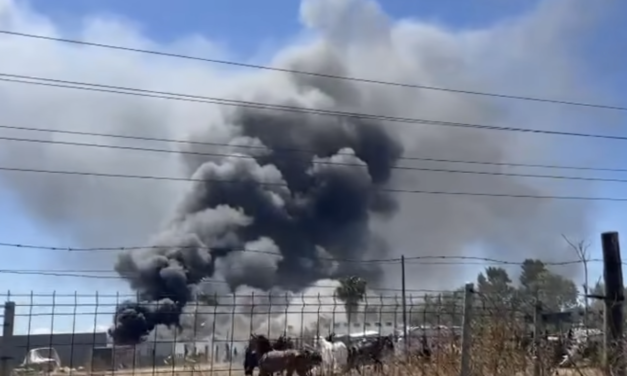 Un incendio en un picadero obliga a cortar durante horas la carretera de La Ribera