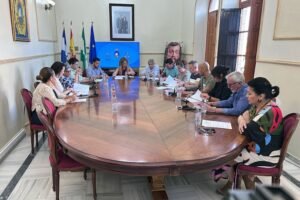 Pleno de San Juan