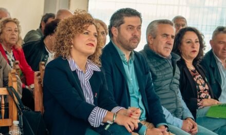 El PSOE llama a votar el 17M por la sanidad pública
