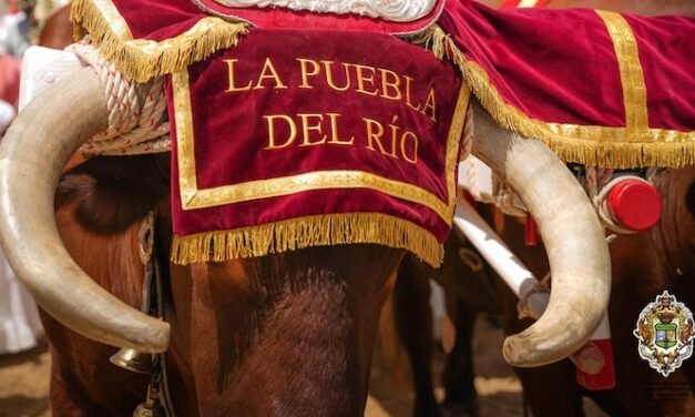Fotogalería: El Rocío estalla en devoción durante la presentación de hermandades