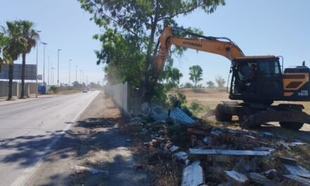 La jueza autoriza la reanudación de los trabajos de demolición del Tiro Pichón