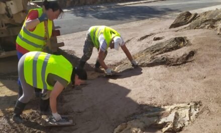 La Diputación entrega los proyectos del PFEA a 16 ayuntamientos