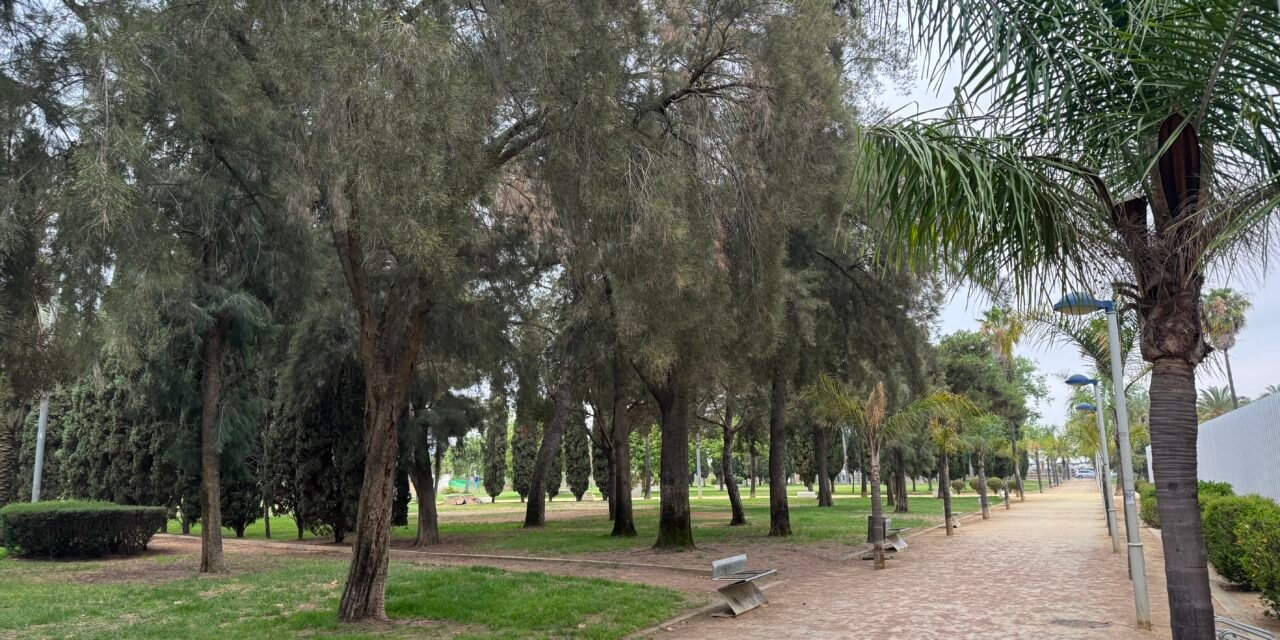 Nuevo plan de mejora y recuperación del parque de Zafra y su entorno