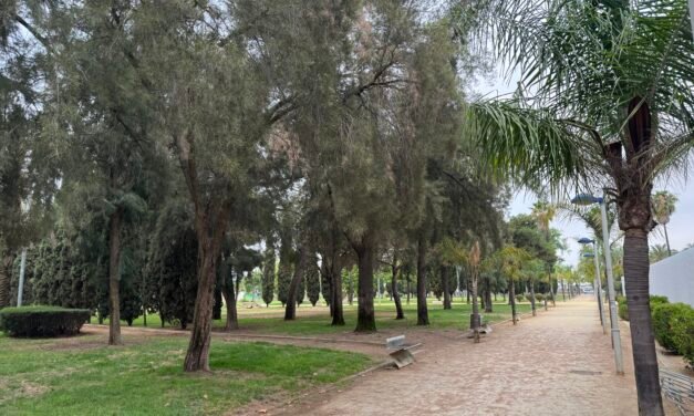 Nuevo plan de mejora y recuperación del parque de Zafra y su entorno