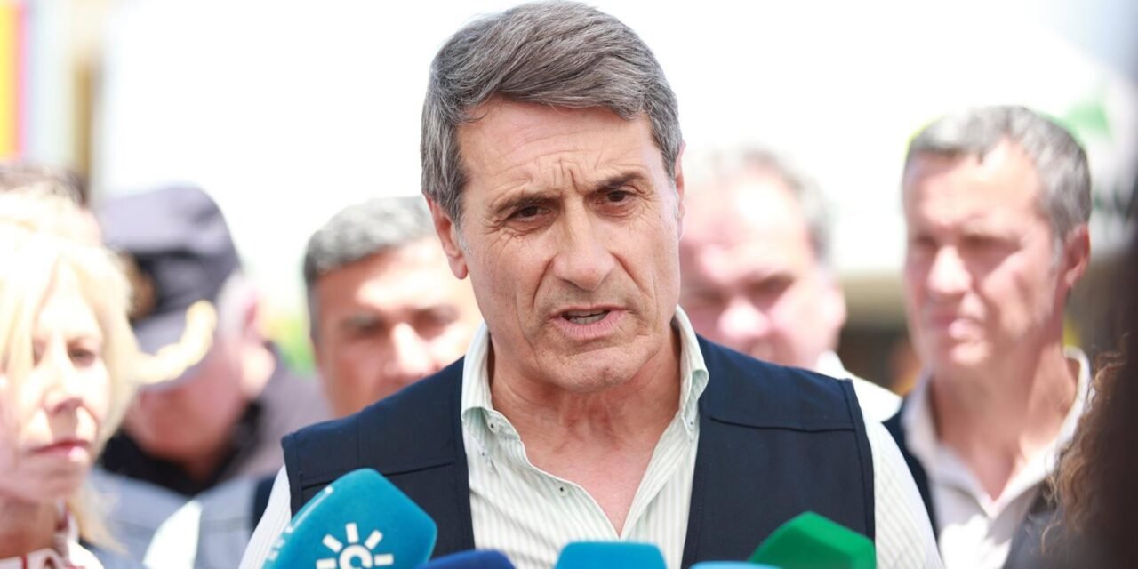 La investigación descarta «intencionalidad» en el incendio de Castillejos