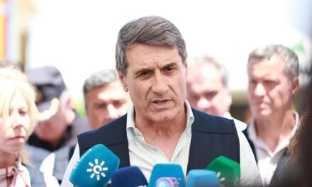 La investigación descarta «intencionalidad» en el incendio de Castillejos