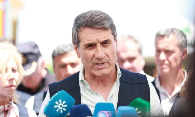 La investigación descarta «intencionalidad» en el incendio de Castillejos