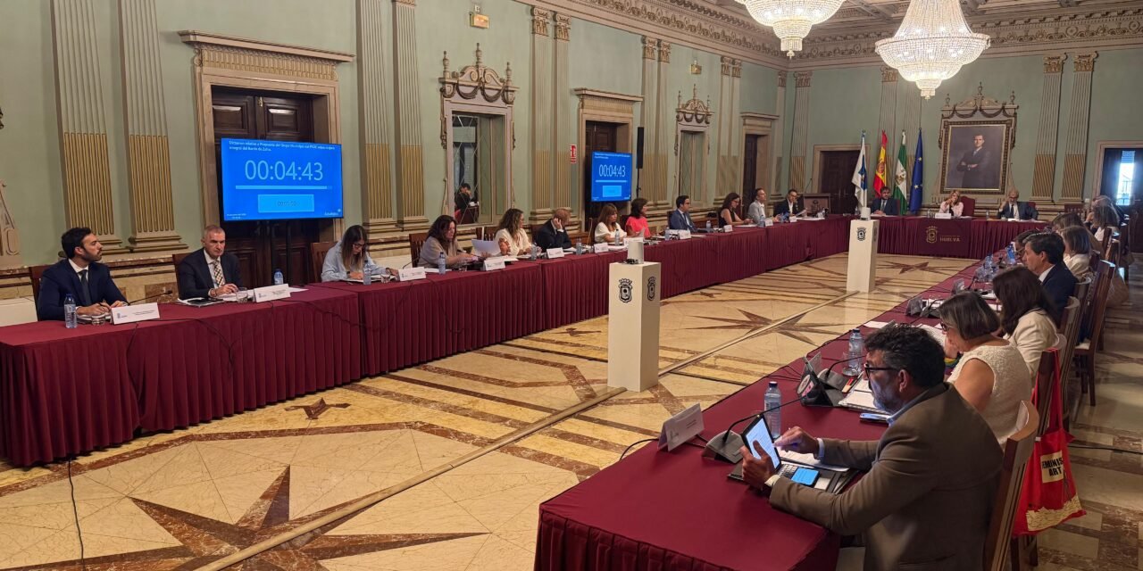 El Pleno del Ayuntamiento exige apoyo a los médicos y atención a los pacientes