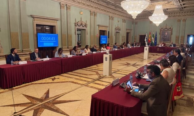 El Pleno del Ayuntamiento exige apoyo a los médicos y atención a los pacientes