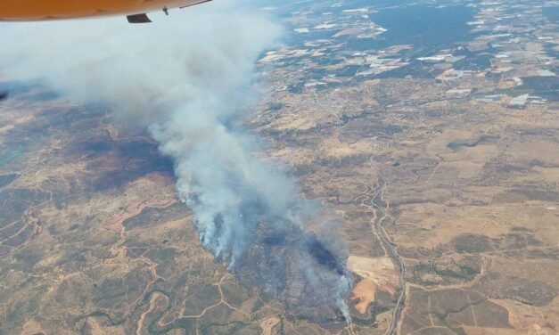 Más de 100 bomberos y 15 medios aéreos luchan contra el fuego en Castillejos