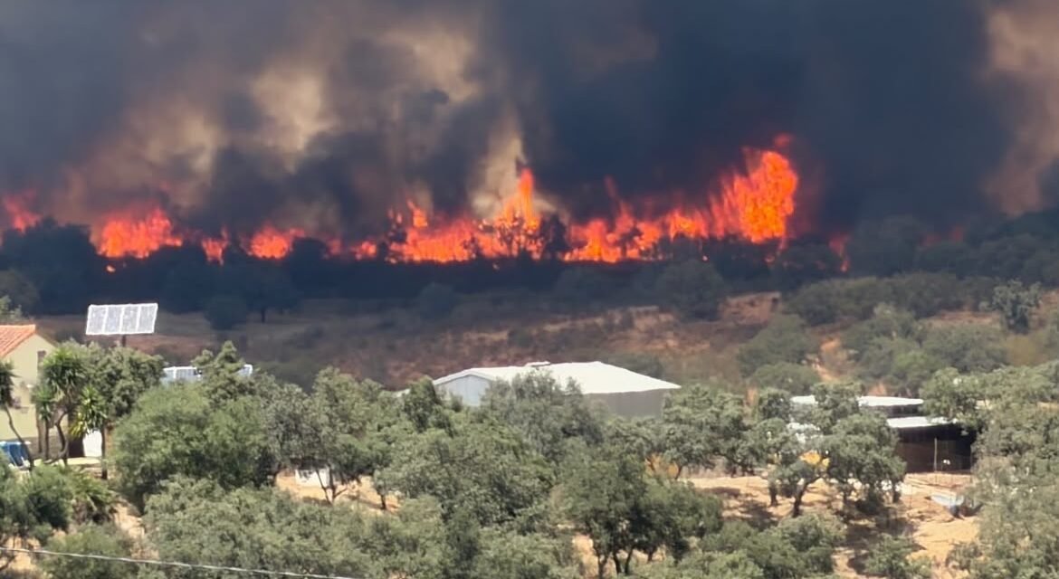 Activada la fase 1 del Plan de Emergencias por el incendio forestal de Castillejos