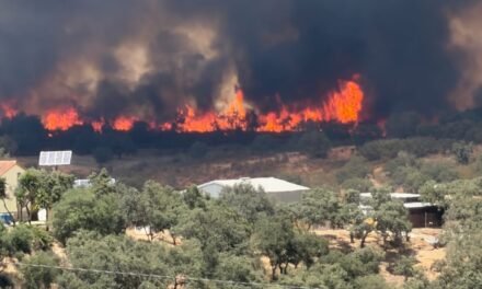 Activada la fase 1 del Plan de Emergencias por el incendio forestal de Castillejos