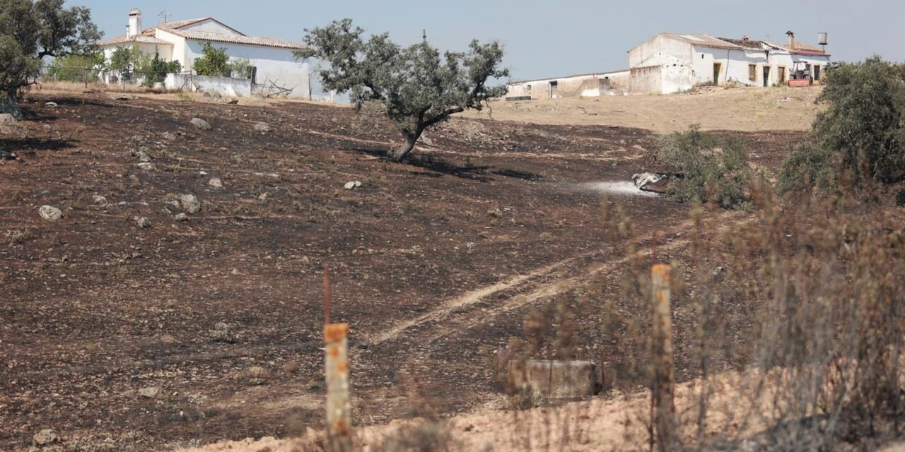 Caja Rural del Sur abre líneas especiales de financiación al 0% para los afectados por el incendio