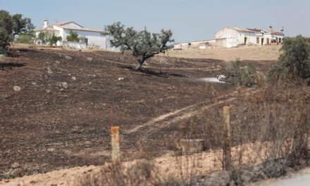 Caja Rural del Sur abre líneas especiales de financiación al 0% para los afectados por el incendio