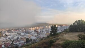 Incendio en Marismas del Burro, Gibraleón