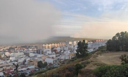 El humo del incendio de Gibraleón continuará afectando a Huelva Capital